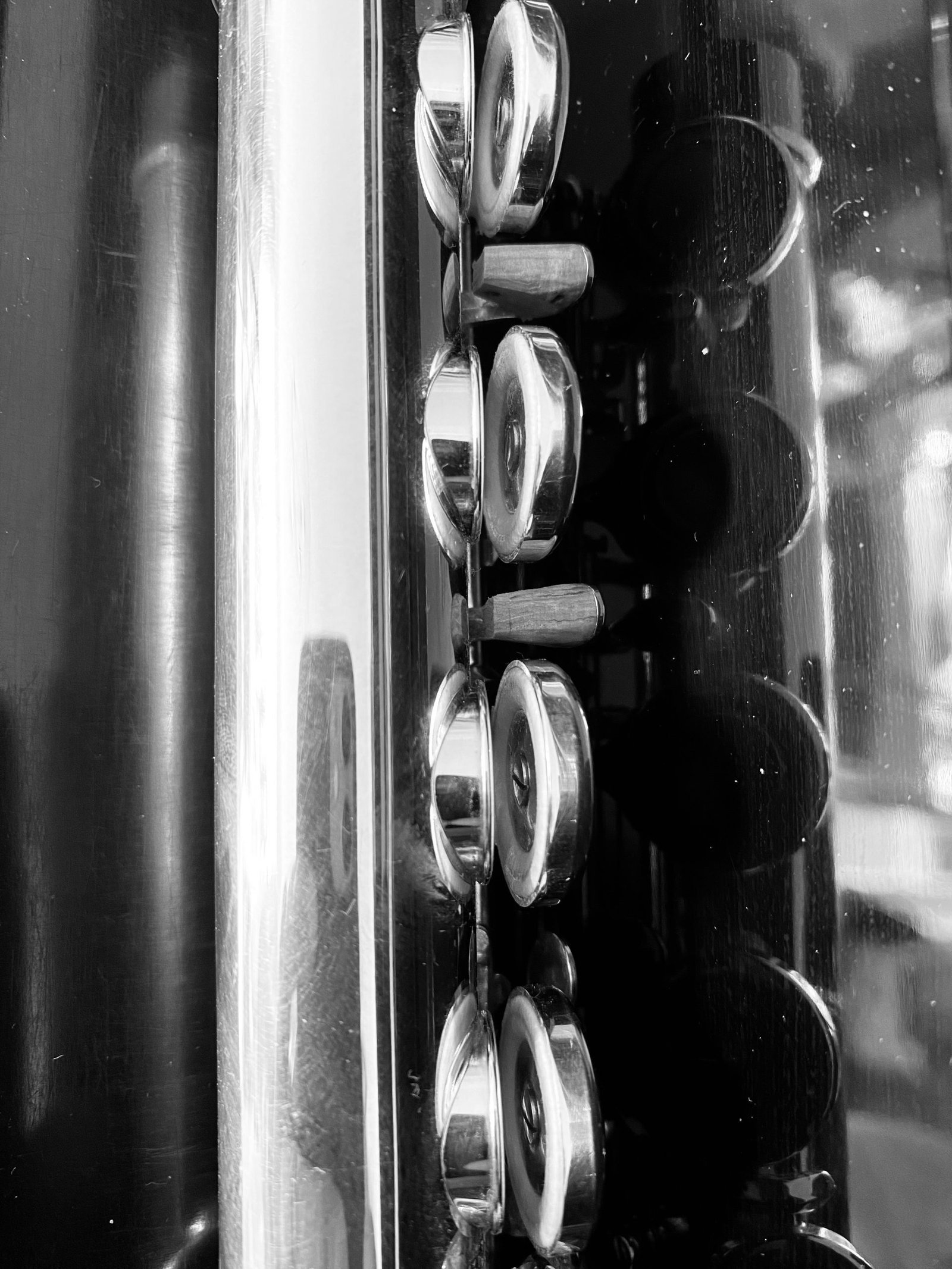 FLUTE LESSONS FLUTE LESSONS