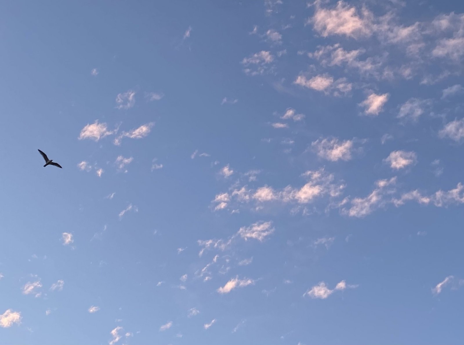 Background of clouds Your Forte Background Image Clouds